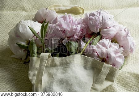 Fresh Pink And White Peonies Lie On A Table In A Bag