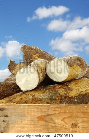 radice di manioca e alcuni pezzi in una cassa di legno contro un cielo blu con nuvole