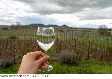 Vinery Vineyard On Saint George Hill Next To Lake Balaton Toast With Wine Glass