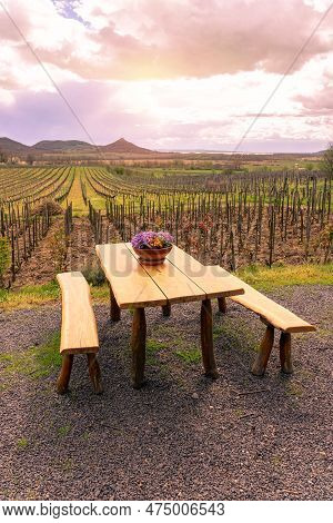 Vinery Vineyard On Saint George Hill Next To Lake Balaton With Wooden Table Spring