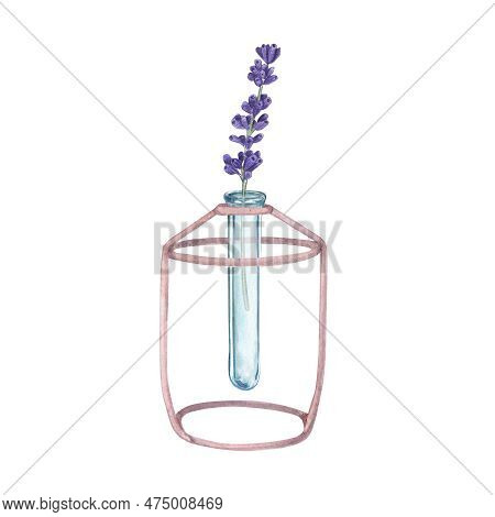 Lavender In A Glass Vase On A Stand On A White Background. Watercolor Illustration Of Provencal Herb