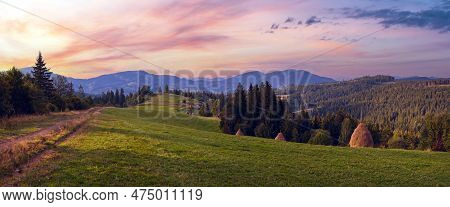 Summer Mountainous Green Meadow With Stackes Of Hay (slavske Village, Carpathian Mts, Ukraine).