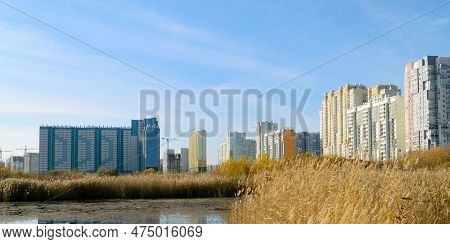 Swamp And Reeds And Residential High-rise Buildings Under The Blue Sky