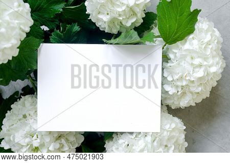 Empty White Card And Bouquet Of White Flower Hydrangea On Grey Background