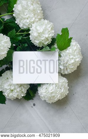 Empty White Card And Bouquet Of White Flower Hydrangea On Grey Background