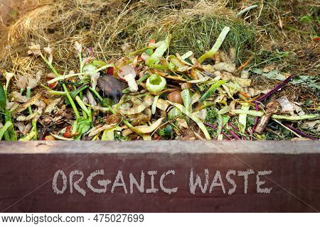 Organic Waste - Text On The Front Of A Compost Bin With Food Scraps And Grass Clippings. Composting 