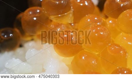 Close Up Of Sashimi Salmon Roe With Rice Bowl Or Donburi In Japanese Style Food.
