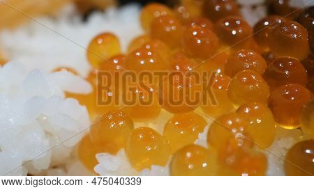 Close Up Of Sashimi Salmon Roe With Rice Bowl Or Donburi In Japanese Style Food.