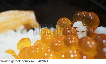 Close Up Of Sashimi Salmon Roe With Rice Bowl Or Donburi In Japanese Style Food.