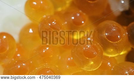 Close Up Of Sashimi Salmon Roe With Rice Bowl Or Donburi In Japanese Style Food.