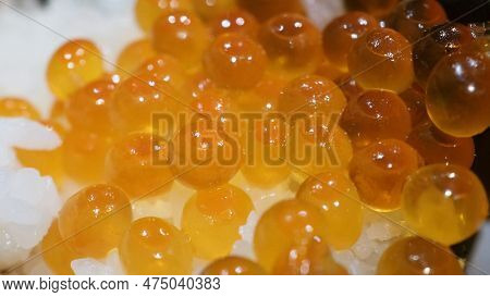 Close Up Of Sashimi Salmon Roe With Rice Bowl Or Donburi In Japanese Style Food.