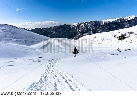 2023 01 128 Campofontana Snowy Landscapes 5