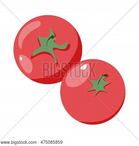 Tomato Isolated Single Simple Cartoon Illustration. Flat Vector Illustratioin