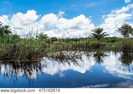 Canoe Tour On The Pantanal Marimbus, Waters Of Many Rivers And Abundant Vegetation, In Andarai, Bahi