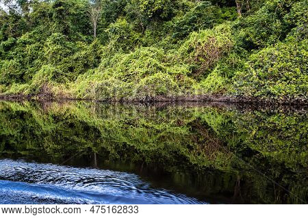 Canoe Tour On The Pantanal Marimbus, Waters Of Many Rivers And Abundant Vegetation, In Andarai, Bahi