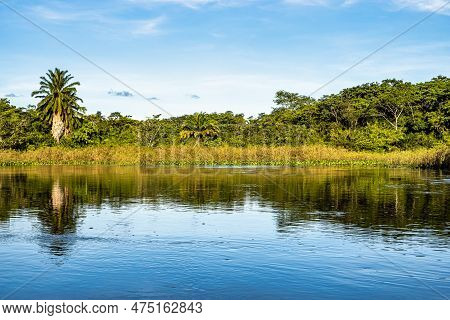 Canoe Tour On The Pantanal Marimbus, Waters Of Many Rivers And Abundant Vegetation, In Andarai, Bahi