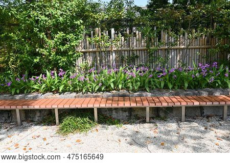 Hyacinth Orchid (bletilla Striata) Flowers. Orchidaceae Perennial Plant. Flowering Season Is From Ap