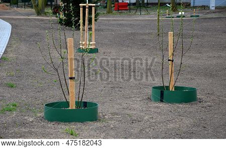 Newly Planted Trees And Flower Beds Onstreet. Green Plastic Circle Water Tank. Facilitates The Dosin