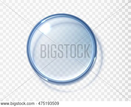 Petri Dish Top View Isolated Isolated On Transparent. Realistic Concept Laboratory Tests And Researc