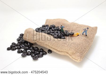 A Worker Using Pallet Jack To Lift Heavy Roasted Coffee Bean