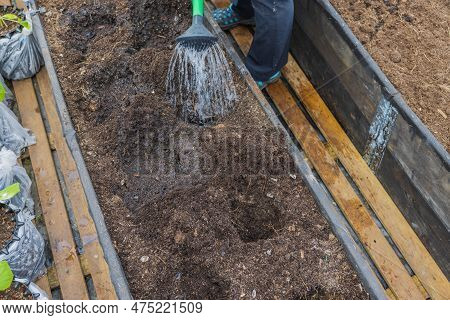 Close-up View Of Preparation Of Beds By Watering From Watering Can Deepening Hole In Beds For Planti