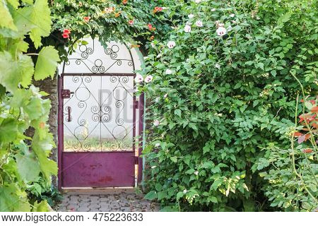 Door Covered With Hibiscus And Kampsis Bushes