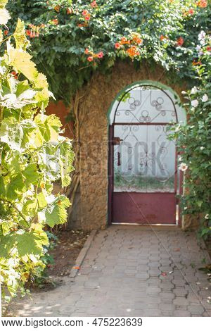 Door Covered With Hibiscus And Kampsis Bushes