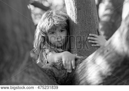 Young Child Blond Boy Climbing Tree. Happy Child Playing In The Garden Climbing On The Tree. Funny K