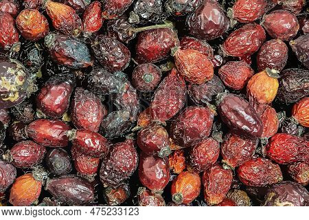 Illustration Of Background Made Of Dry Rose Hips. Fharmaceutical Raw Materials. Healing Herbs Rosae
