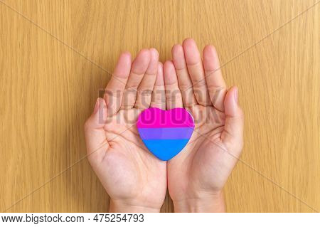 Bisexuality Celebrate Day And Lgbt Pride Month,  Lgbtq+ Or Lgbtqia+ Concept. Hand Holding Purple, Pi