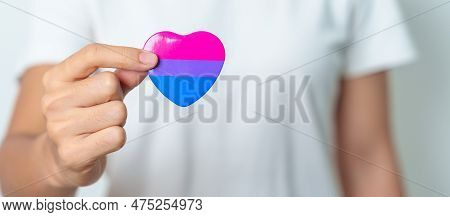 Bisexuality Celebrate Day And Lgbt Pride Month,  Lgbtq+ Or Lgbtqia+ Concept. Hand Holding Purple, Pi