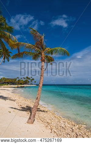 Palms On The Maldivian Tropical Beach. Crossroads Maldives, Saii Lagoon. July 2021