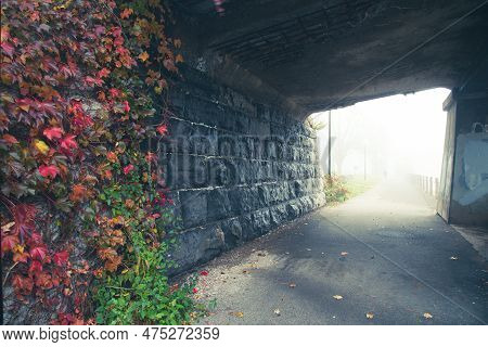 Red Creeper Vine Leaves On Stone Retaining Wall Pedestrian Bridge Tunnel Along Riverside Pathway Ear