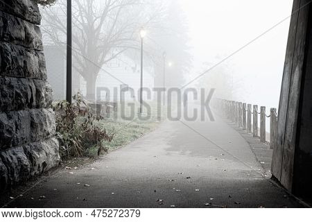 Stone Pedestrian Bridge Tunnel Foggy Morning Rear View Caucasian Walking Dog Along Riverside Concret