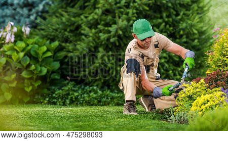 Professional Caucasian Landscaper Performing Seasonal Garden Maintenance. Greenery Background With C