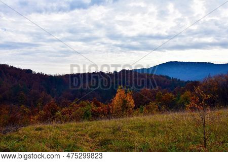 Glade With Wild Grass. A Wonderful View Of The Hills And Mountains In The Distance