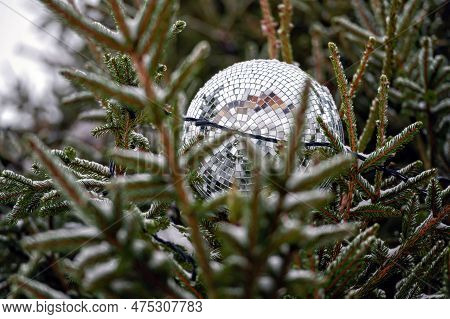 Christmas Disco Ball Decoration On A Snowy Fir Tree Branch. Selective Focus, Shallow Depth Of Field