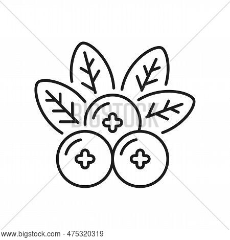 Swedish Herbal Medicine Emblem With Sweden Cross Sign Isolated Outline Icon. Vector Ayuverdic Spa Tr