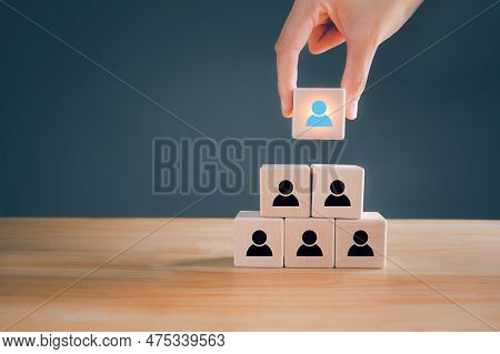 Human Resources Officer Looking For Leader And Ceo Concept, Hr Manager Hand Or Employer Chooses Take