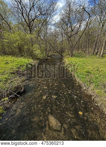 Foliage Develops In Early Spring Along The Banks Of Hammel Creek As It Flows Towards Its Dupage Rive