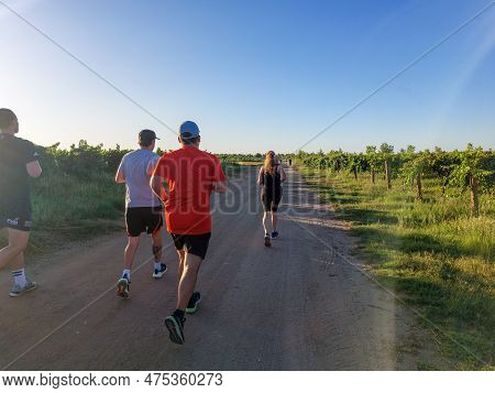 Upington, South Africa - Feb 24, 2023: Runners Doing A Parkrun Between Vineyards At Upington In The 
