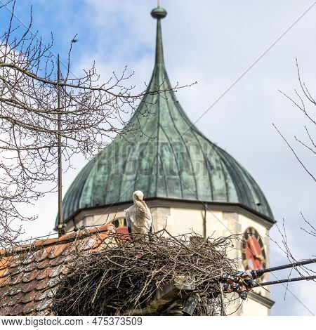 White Stork, Ciconia Ciconia On The Nest In Oettingen, Swabia, Bavaria, Germany In Europe
