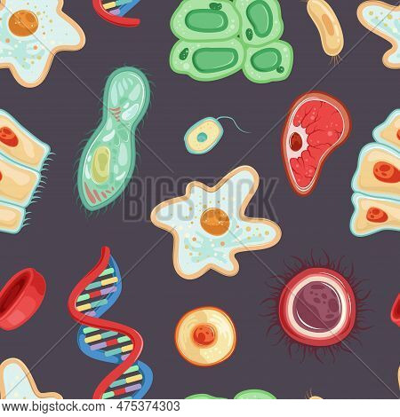 Human Cells As Medicine And Biology Vector Seamless Pattern Template