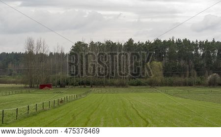 Fields And Forests In Spring Bloom. The Vicinity Of Ostrowiec Swietokrzyski. Fields With Young , Gre
