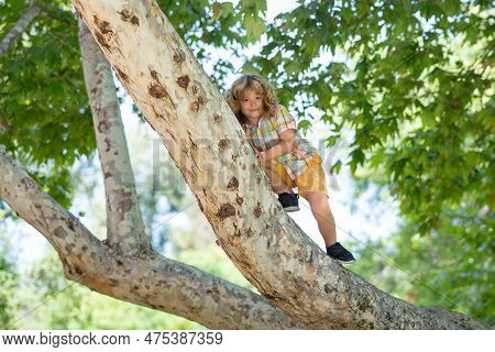 Child Climbing A Tree. Happy Young Boy Play In Summer Garden. Kid On A Tree With Big Branch.