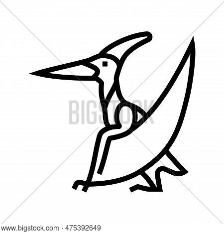 Pteranodon Dinosaur Animal Line Icon Vector. Pteranodon Dinosaur Animal Sign. Isolated Contour Symbo
