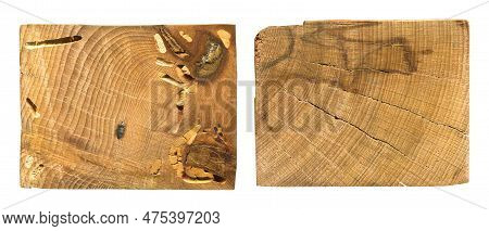 Wood Grain Texture. Wormy Hornbeam Wood, Can Be Used As Background, Pattern Background