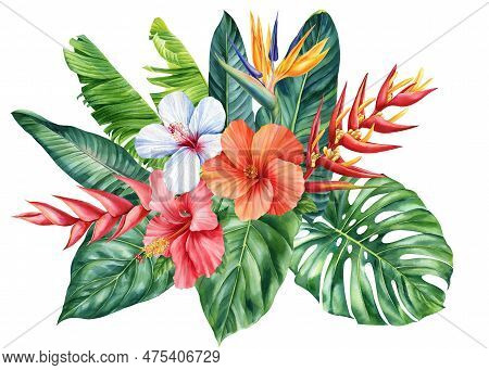 Colored Tropical Flowers, Palm Leaves Isolated White Background, Watercolor Botanical Painting. Stre