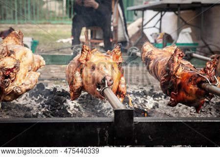 Selective Blur On Heads Of A Roasted Porks And Pigs, Young Ones, On A Traditional Grill Of Serbia, I