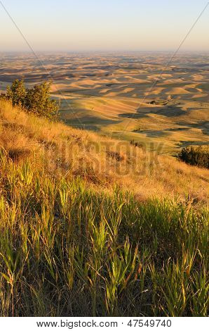 Вид сельскохозяйственных угодий от Steptoe Butte